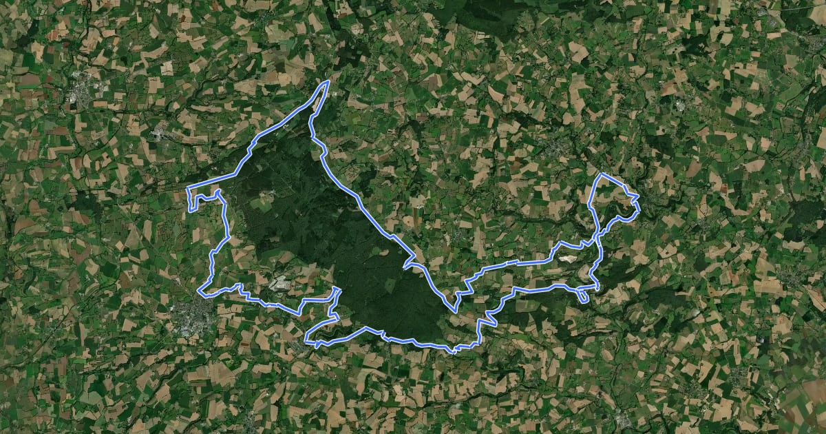 Маршрут Tour de la Forêt de Pail et des Alpes Mancelles - Circuit n°7 - Base VTT FFCT des Perles - Base VTT FFC du Gasseau на спутниковом снимке