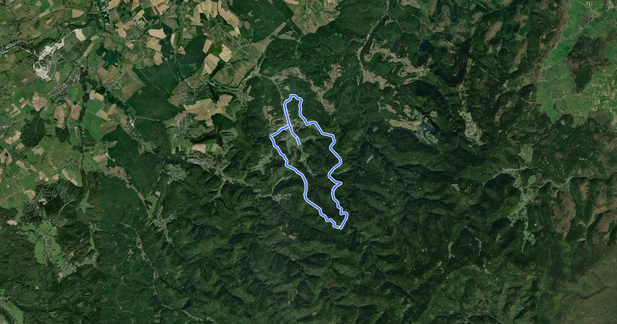 Маршрут Tour de Walscheid на спутниковом снимке