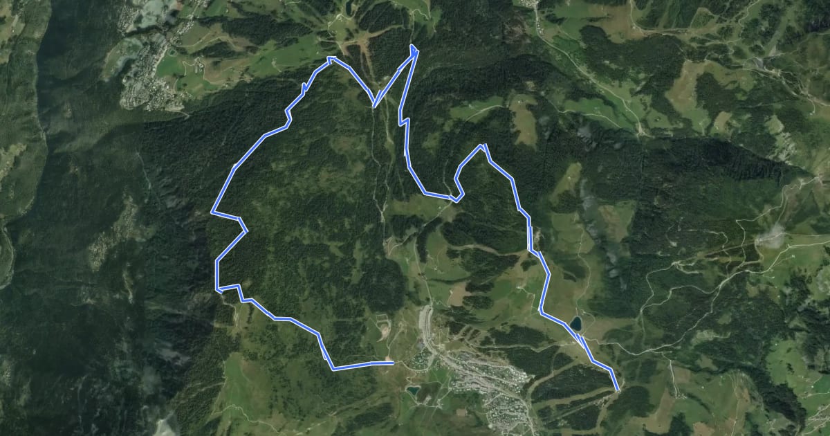 Маршрут Tour du Bois de Covetan на спутниковом снимке