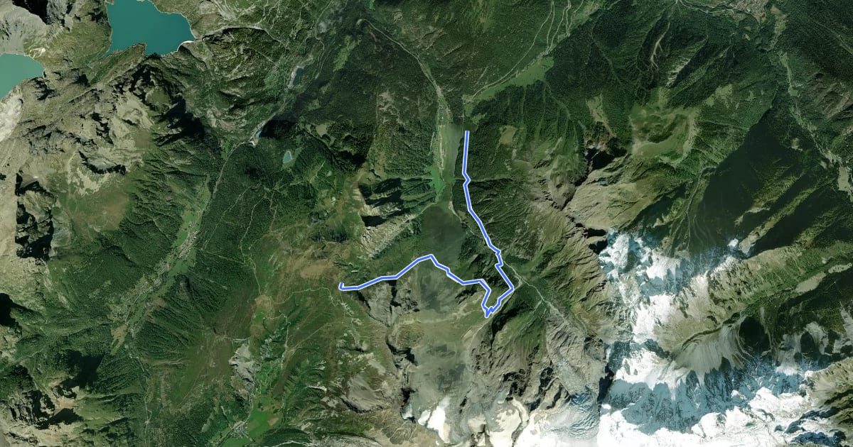 Маршрут Tour Du Mont Blanc - Variante des Grands на спутниковом снимке