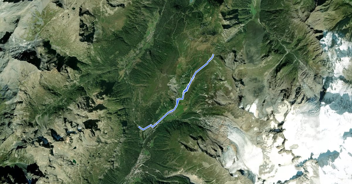 Маршрут Tour du Mont Blanc - Variante du Tour на спутниковом снимке