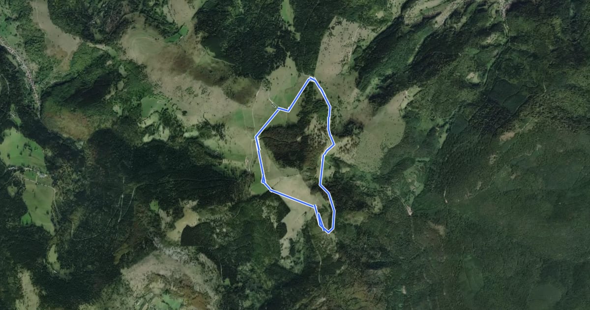 Маршрут Tour du Petit Ballon на спутниковом снимке