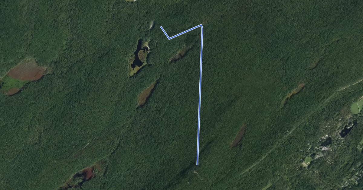 Маршрут Tower Trail на спутниковом снимке