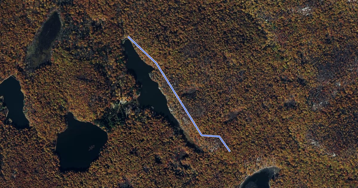 Маршрут Tower Vue Trail на спутниковом снимке
