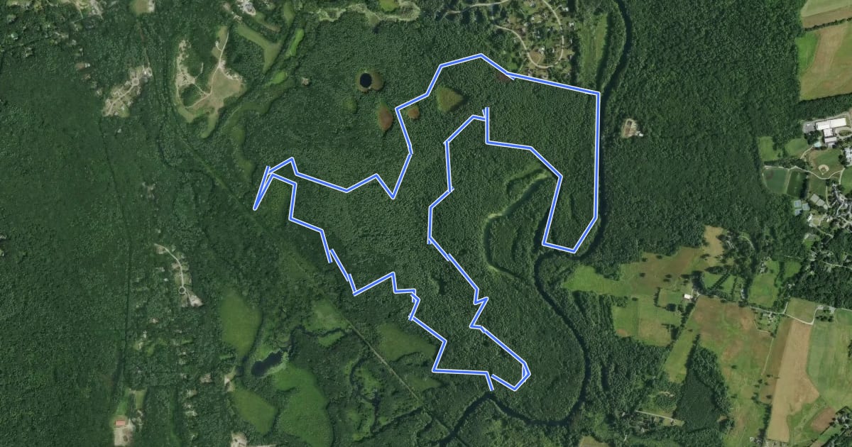 Маршрут Town Forest Loop Trail на спутниковом снимке