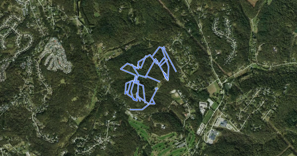 Маршрут Townsend Park Hiking на спутниковом снимке