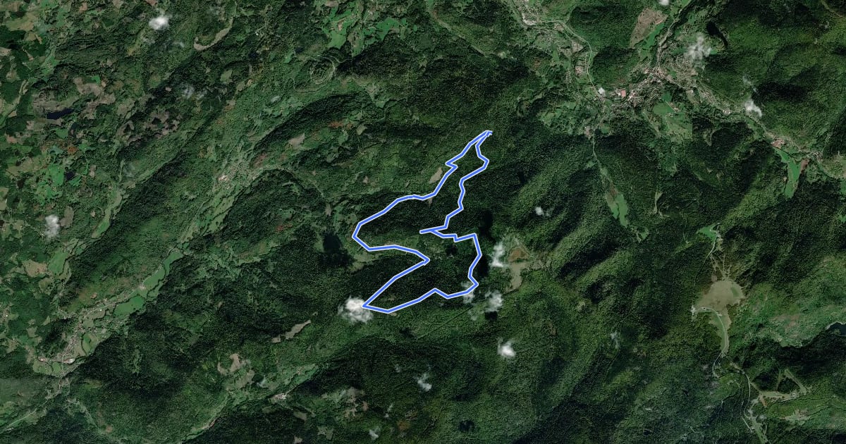 Маршрут Trace équestre du bois de la Fonderie на спутниковом снимке