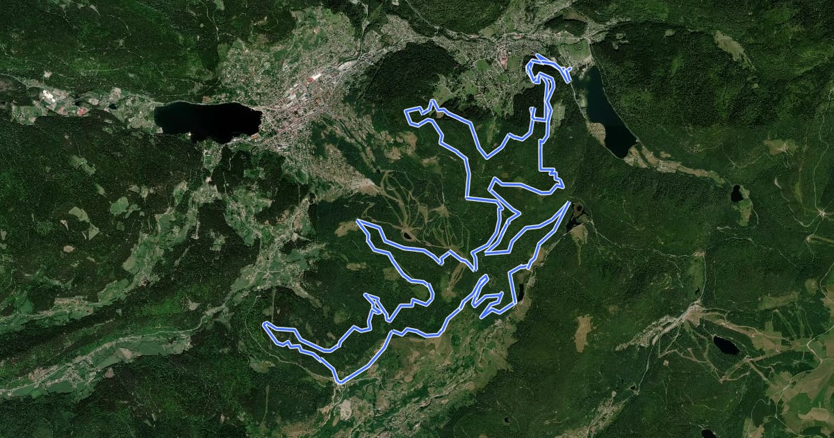 Маршрут Trace Vosgienne 55 Km на спутниковом снимке