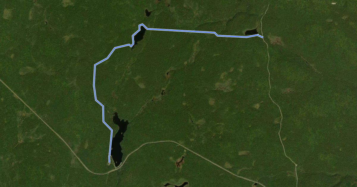 Маршрут Tracey Lake Trail на спутниковом снимке