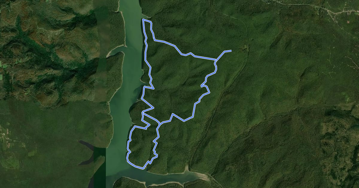 Маршрут Tracy Ridge Loop на спутниковом снимке