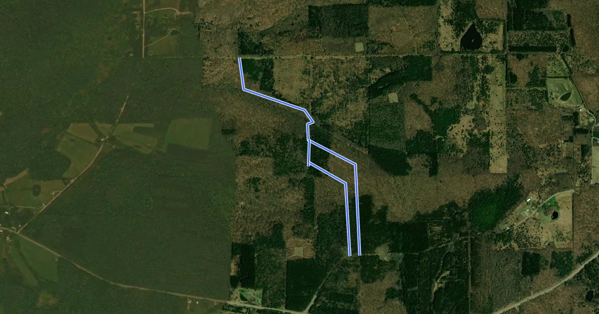 Маршрут Trail 1 на спутниковом снимке