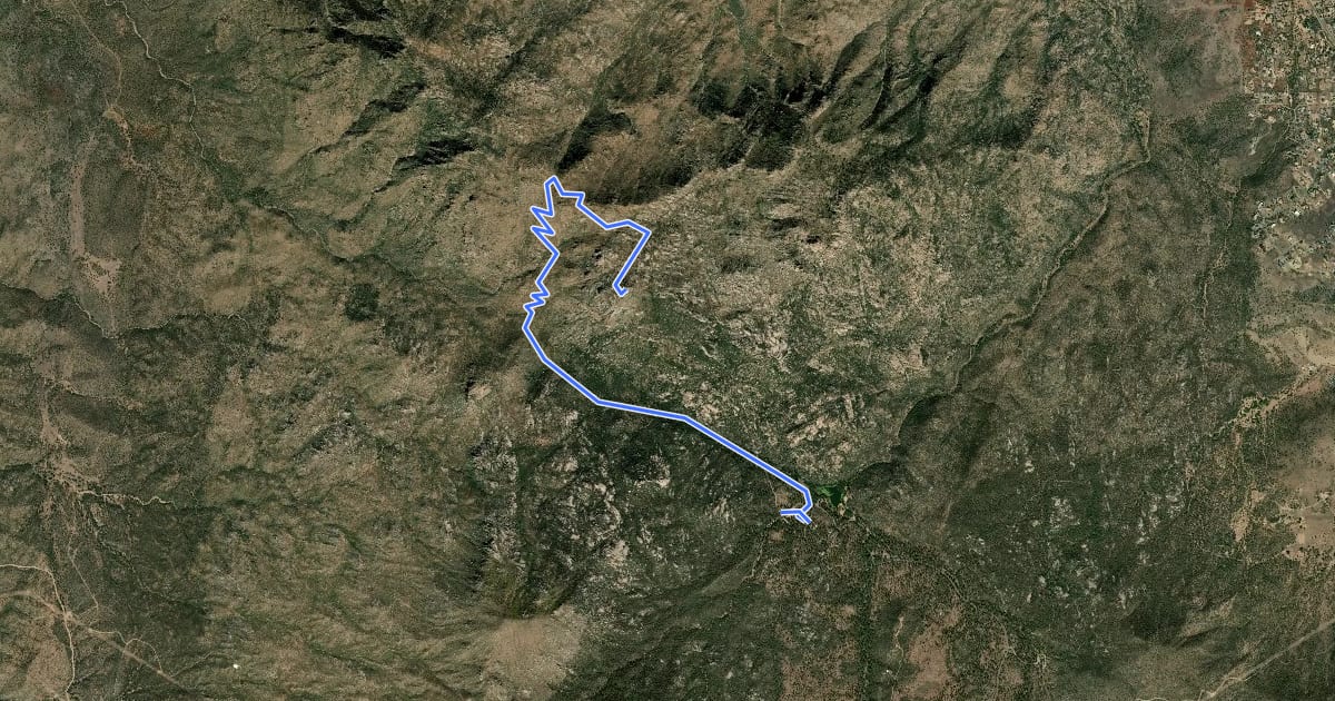 Маршрут Trail 261 на спутниковом снимке