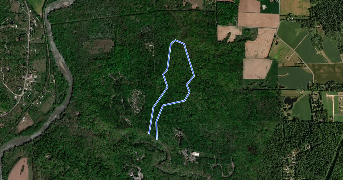 Маршрут Trail #5 на спутниковом снимке