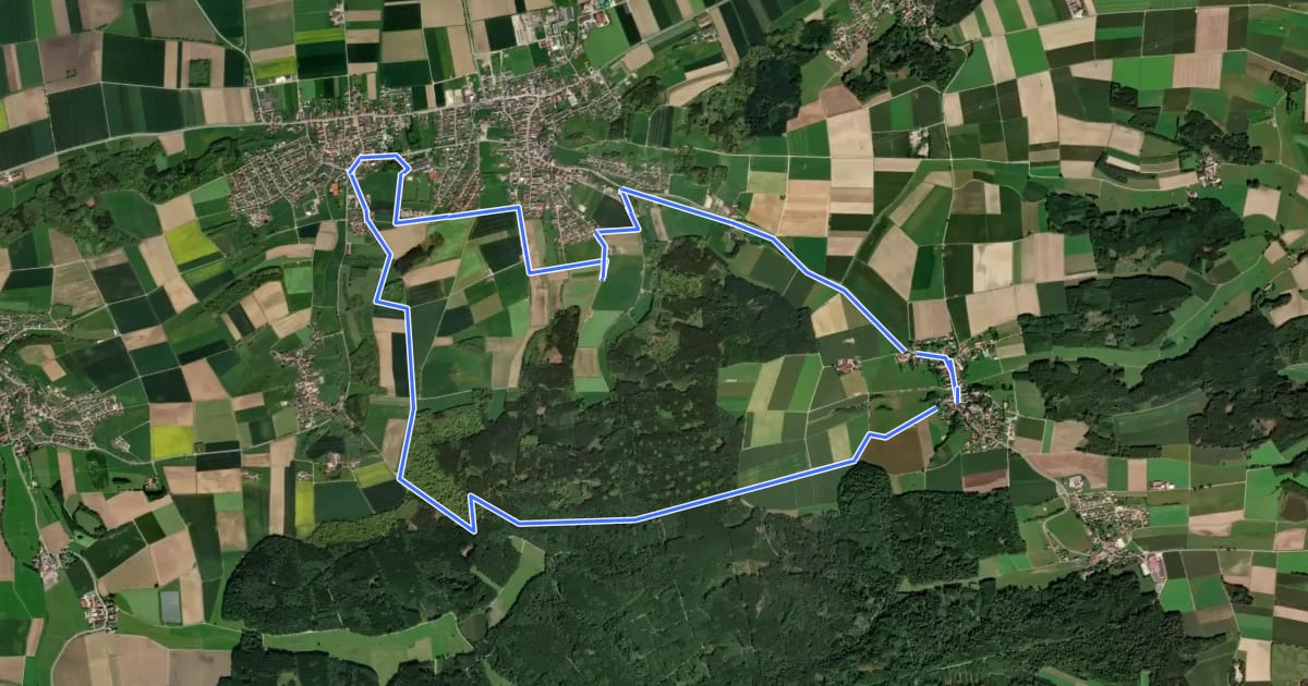 Маршрут Trail 6 на спутниковом снимке