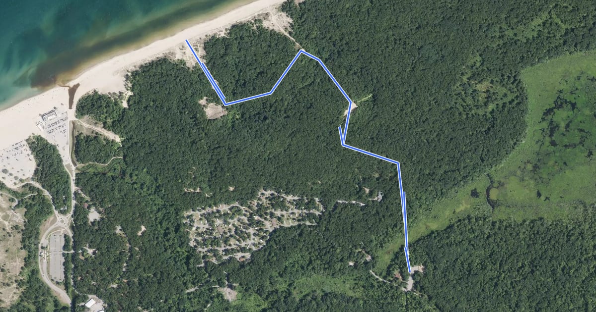 Маршрут Trail 8 на спутниковом снимке