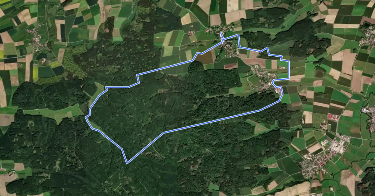 Маршрут Trail 9 на спутниковом снимке