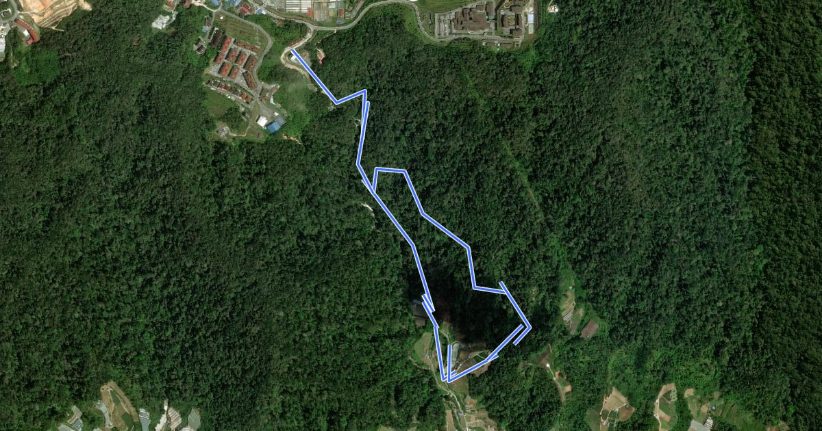 Маршрут Trail 9 Loop via 9A на спутниковом снимке