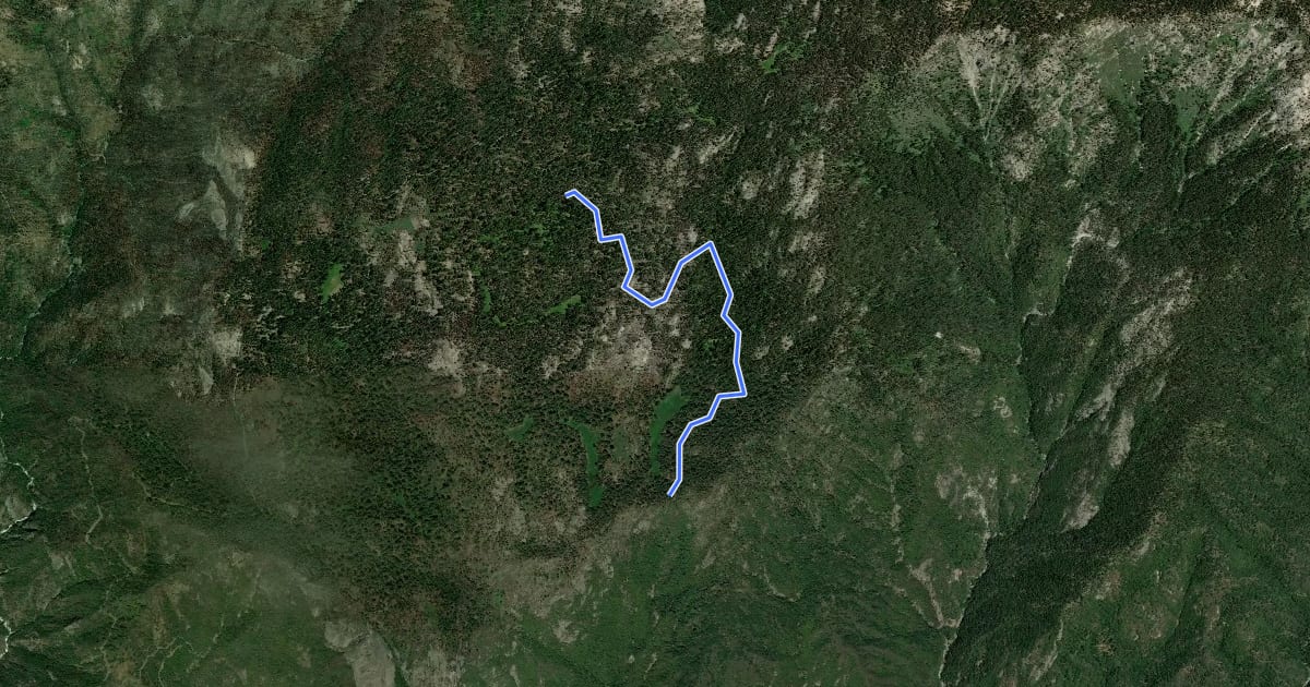 Маршрут Trail of the Sequoias на спутниковом снимке