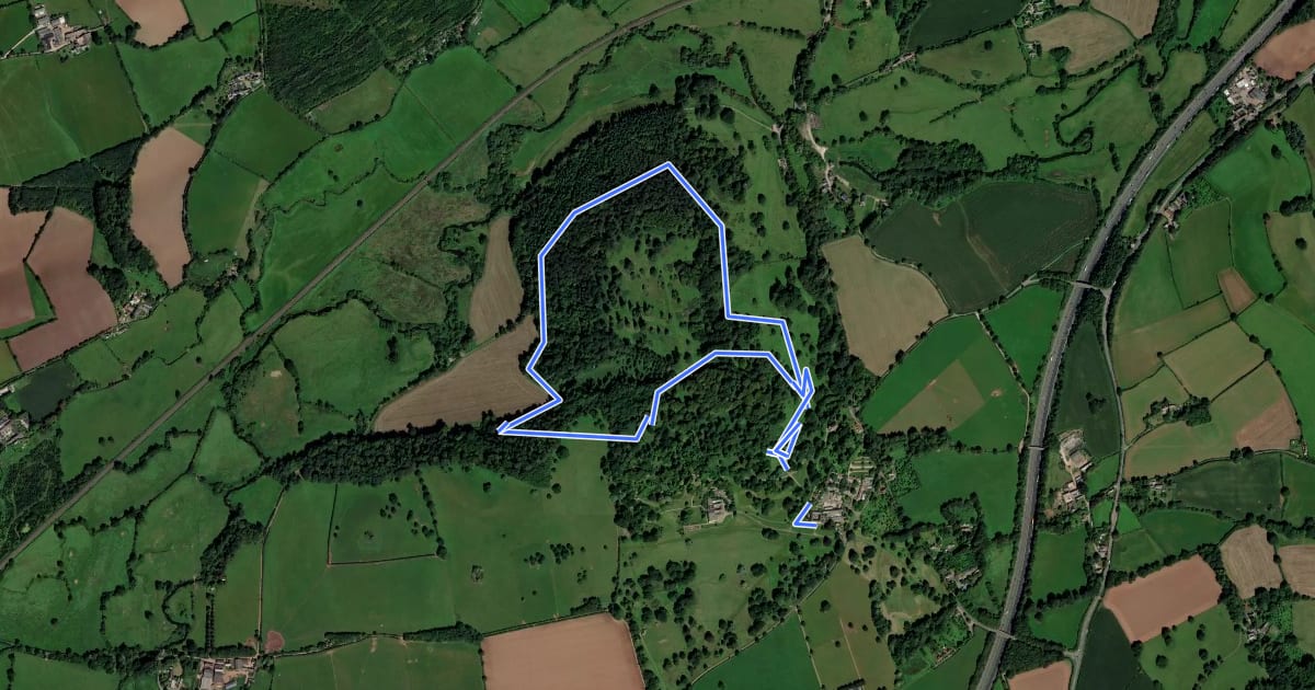 Маршрут Tramper Route, Killerton на спутниковом снимке