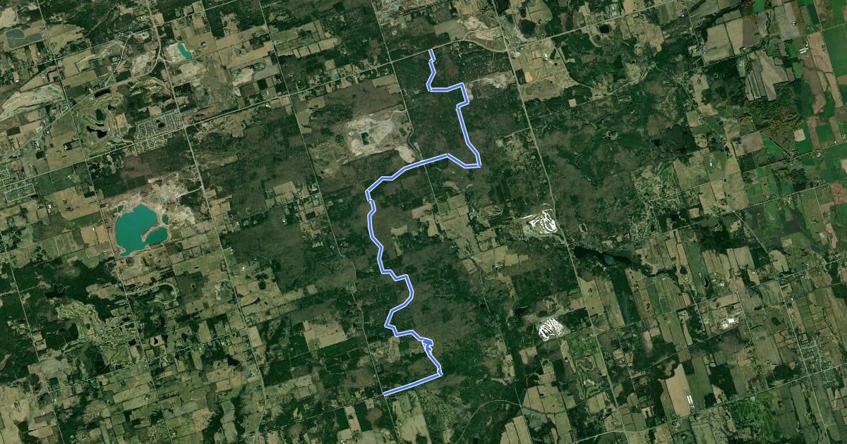 Маршрут Trans Canada Trail (Walker Woods and Glen Major Forest) на спутниковом снимке