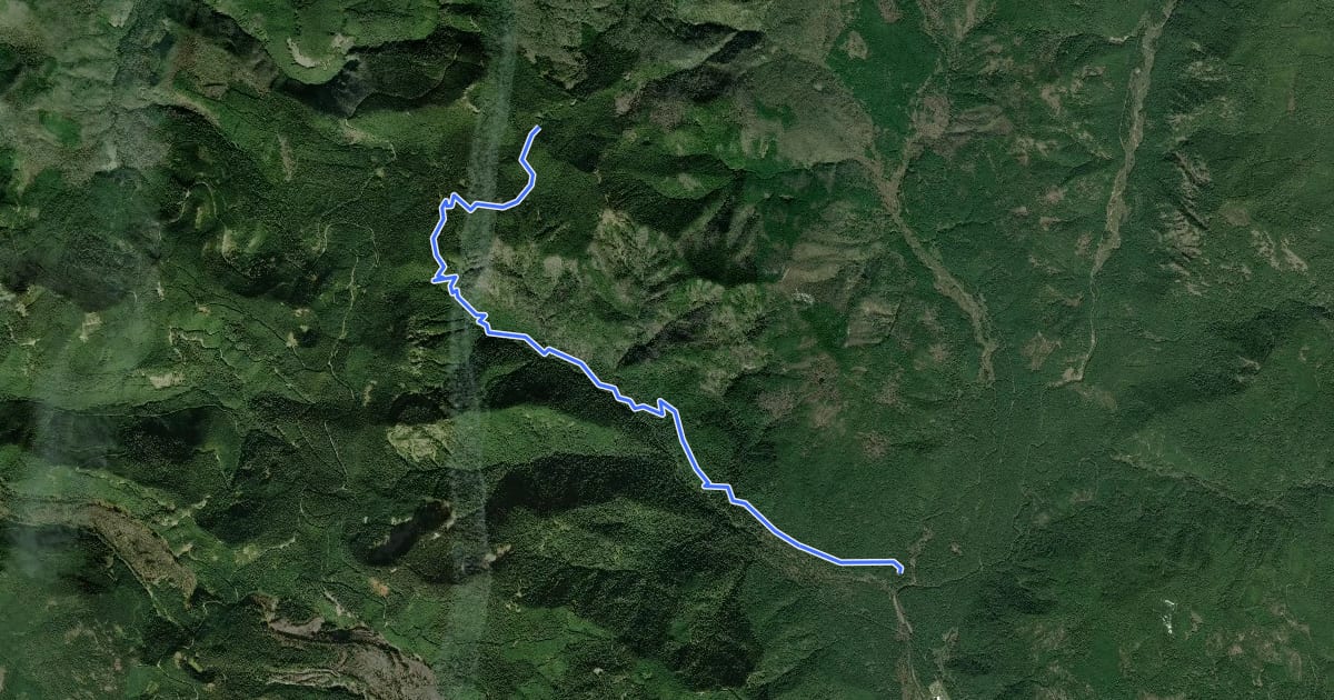 Маршрут Trapper Creek Trail #192 на спутниковом снимке