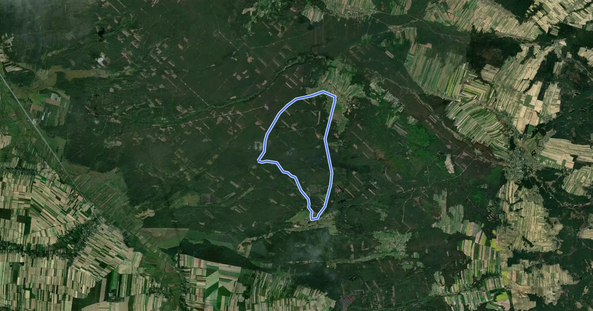 Маршрут Trasa numer 6 на спутниковом снимке