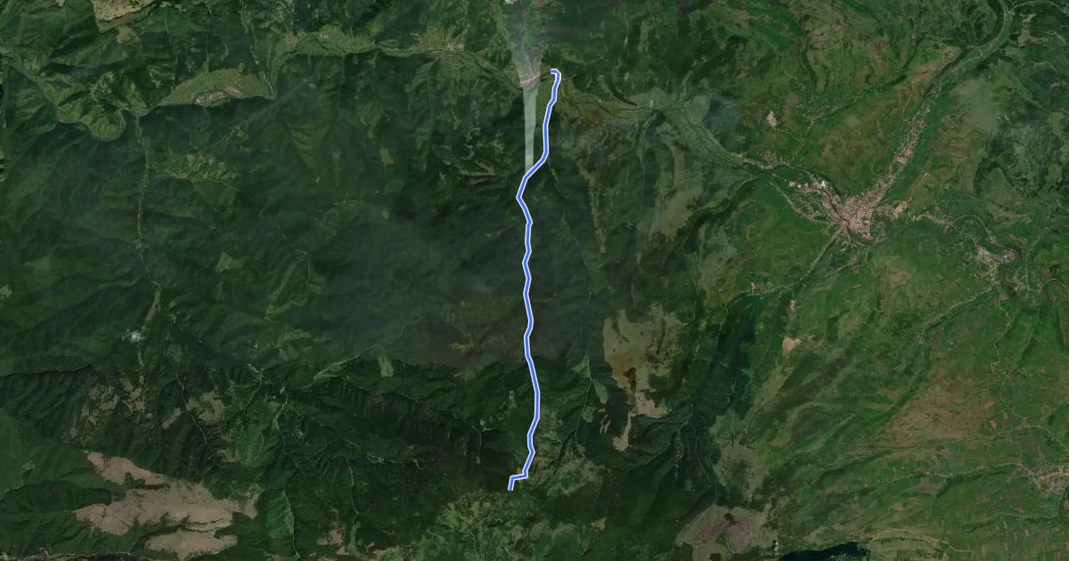 Маршрут Traseu bandă albastră Stânceni - Valea Gudea Mică - Vârful Fâncel на спутниковом снимке
