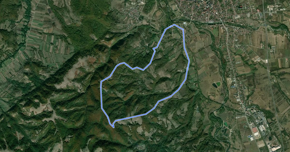 Маршрут Traseu Crucea Verde-Corcana-Halta Teius (red triangle) на спутниковом снимке