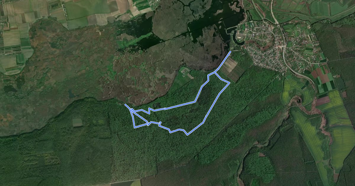 Маршрут Traseu turistic "Rezervatia de ghimpe" на спутниковом снимке