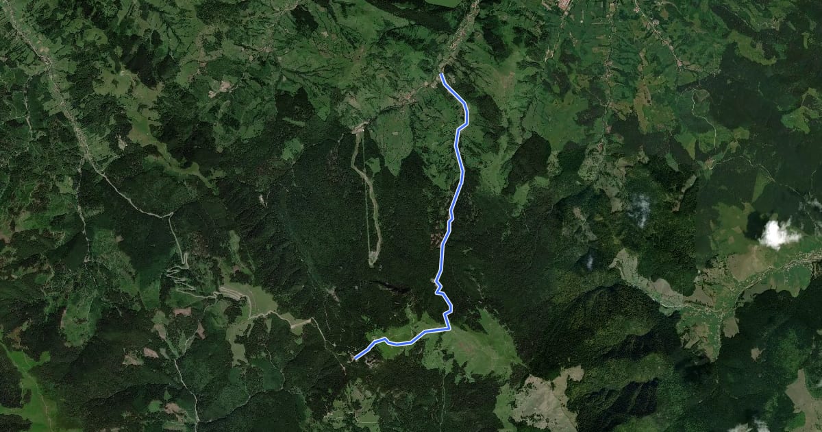 Маршрут traseul 17 PR – Hotel Rarău (yellow cross) на спутниковом снимке