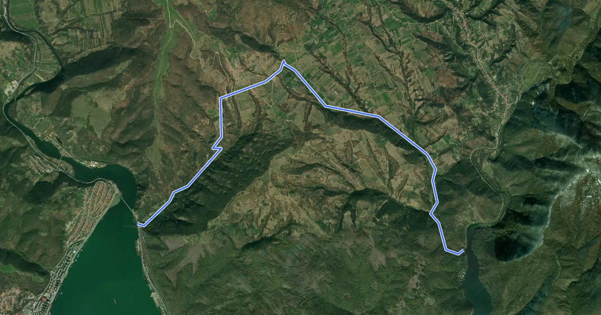 Маршрут Traseul ecoturistic Țarovăț (blue triangle) на спутниковом снимке