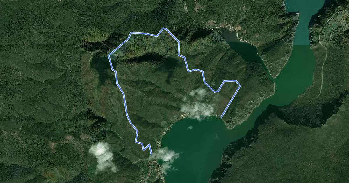 Маршрут Traseul ecoturistic Dubova – Cazanele mici (yellow triangle) на спутниковом снимке
