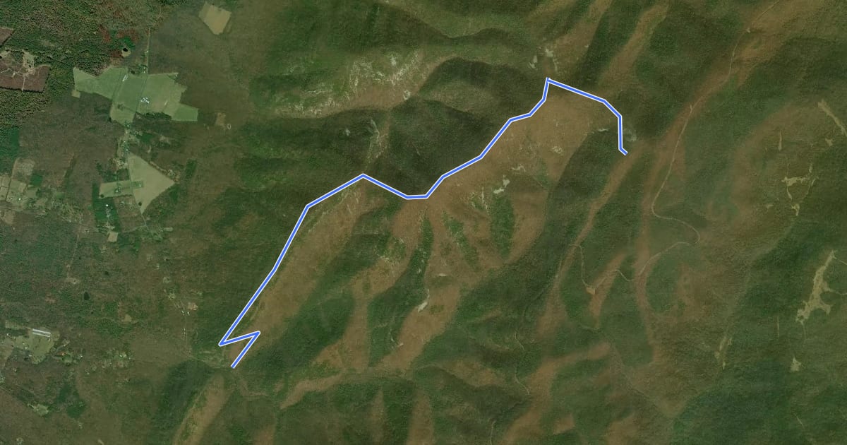 Маршрут Trayfoot Mountain Trail на спутниковом снимке
