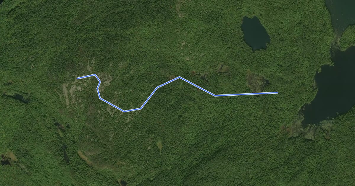 Маршрут Treadway Mountain Trail на спутниковом снимке