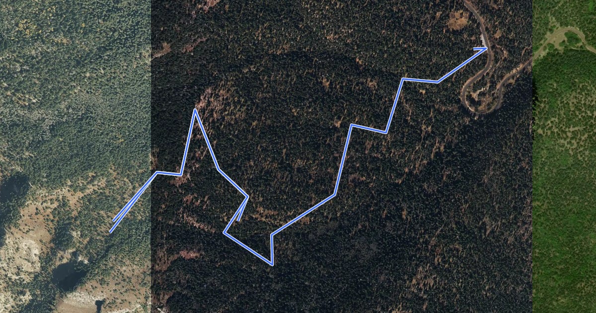 Маршрут Tree Spring Trail на спутниковом снимке