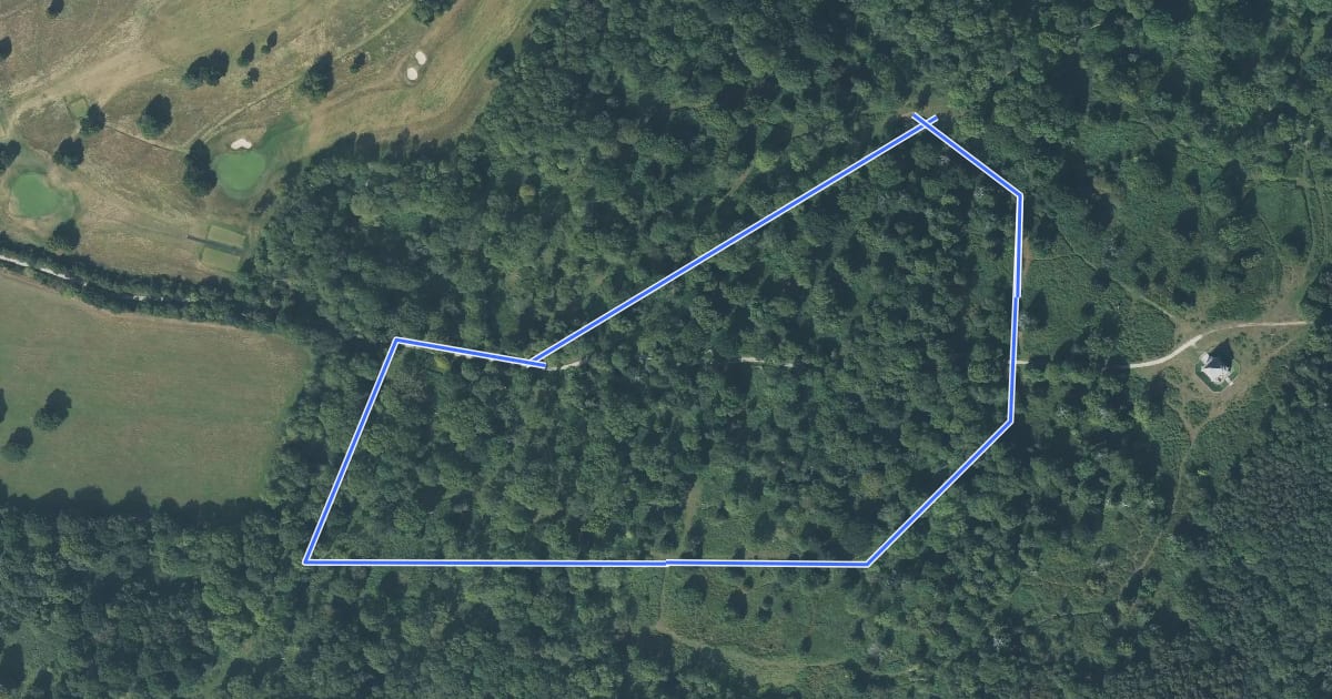 Маршрут Tree Trail, Cobham Mausoleum & Woods на спутниковом снимке