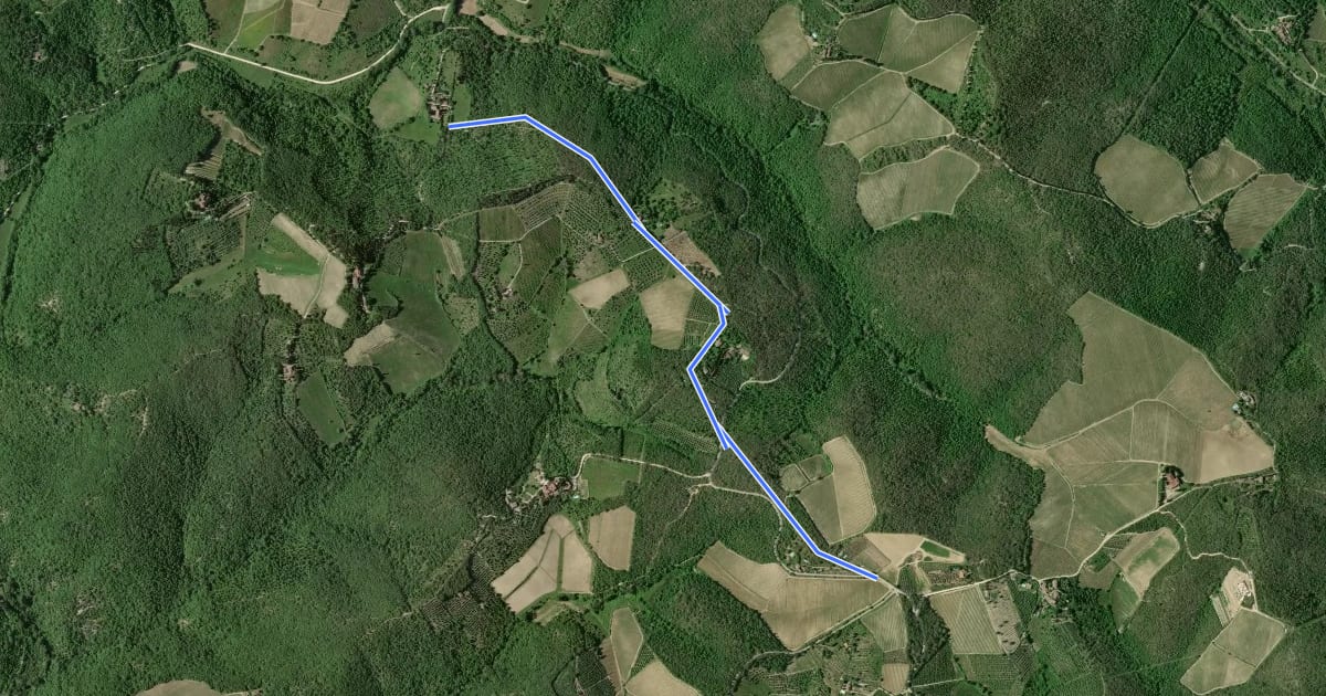 Маршрут Trekking tra i castelli 10C на спутниковом снимке