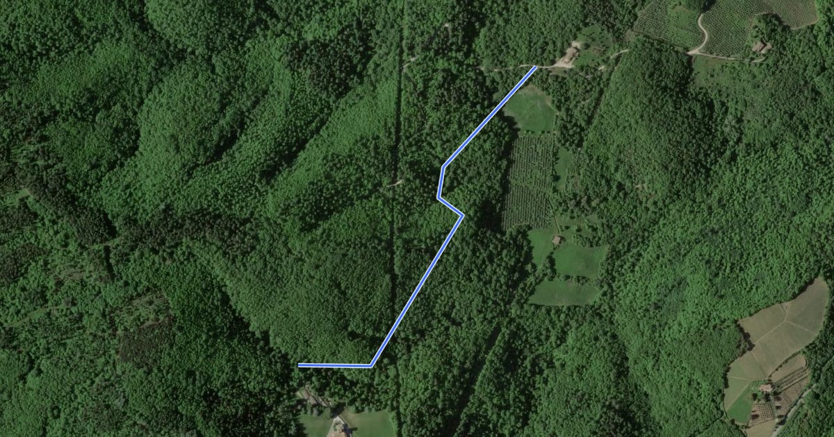 Маршрут Trekking tra i castelli 7D (COLTIBUONO) на спутниковом снимке