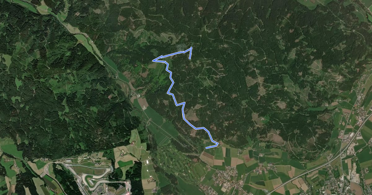 Маршрут Tremmelberg "Turm im Gebirge" über Vorder-Tremmel на спутниковом снимке