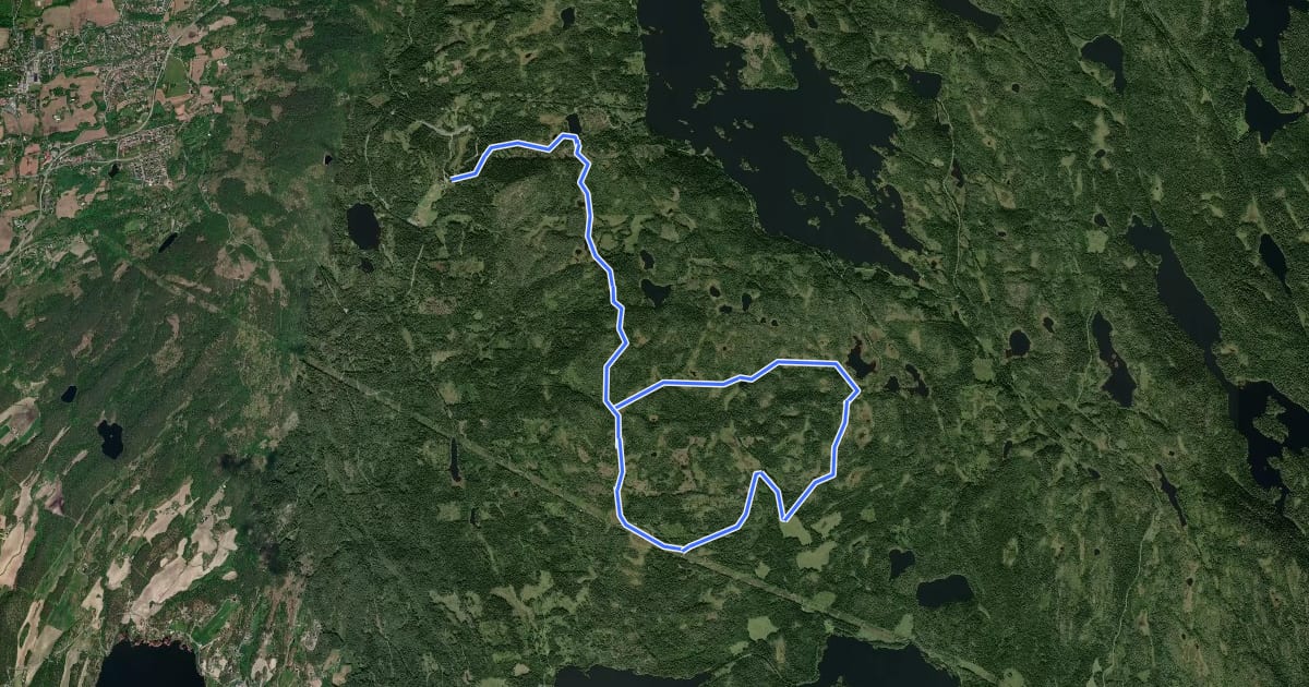 Маршрут Treningsrunden (Ringkollen) на спутниковом снимке