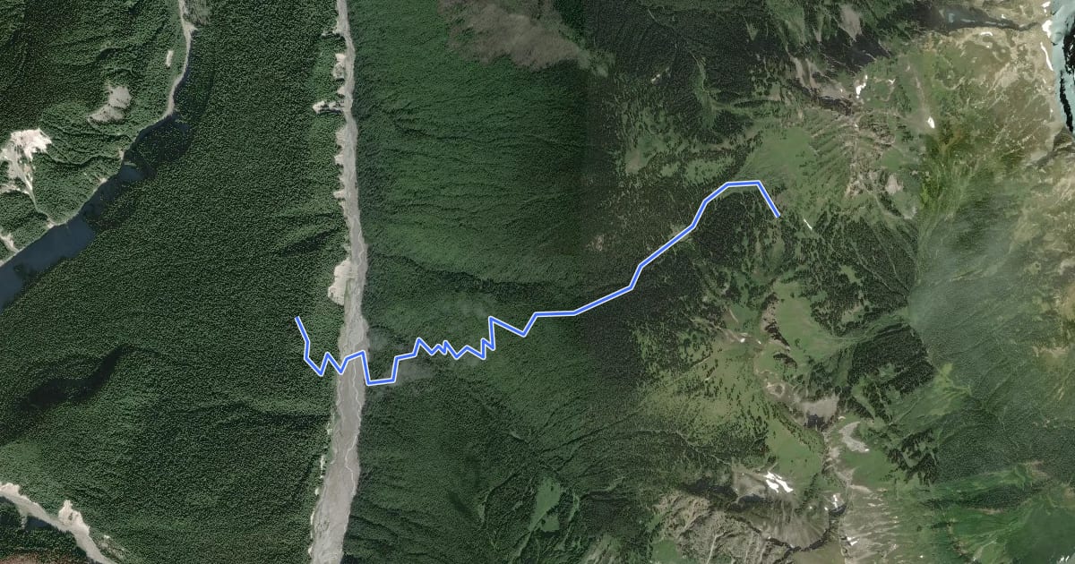Маршрут Triad Creek Trail на спутниковом снимке