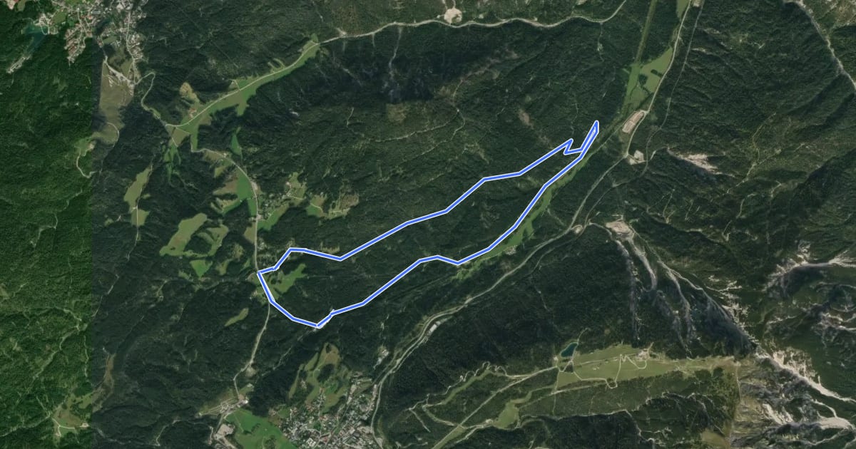Маршрут Triendlweg-Bauernwald на спутниковом снимке