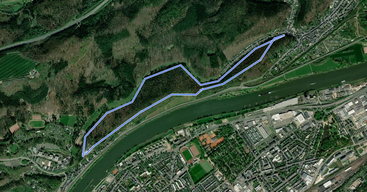 Маршрут Trier Wanderweg T1 (Weißhausbrunnen) на спутниковом снимке