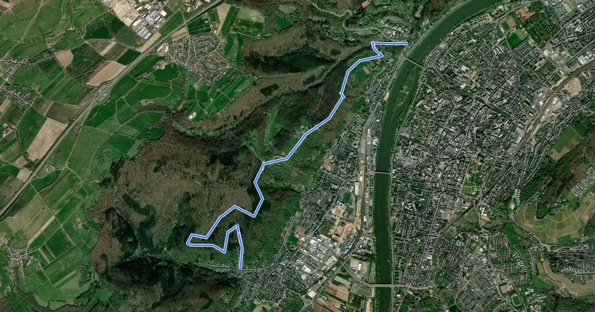Маршрут Trier Wanderweg T2 (Euren Helenenbrunnen - Napoleonsbrücke B51) на спутниковом снимке