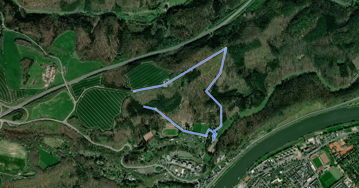 Маршрут Trier Wanderweg T3 (Weißhausbrunnen) на спутниковом снимке