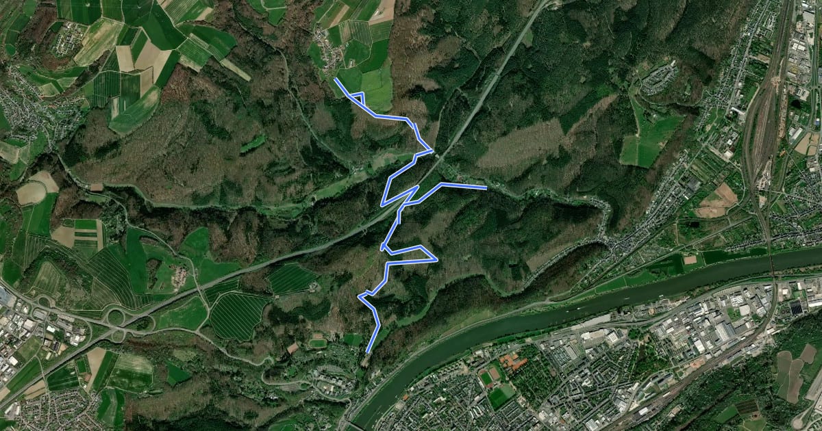 Маршрут Trier Wanderweg T6 (Trier Weißhausbrunnen - Ehrang) на спутниковом снимке