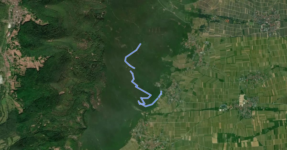 Маршрут Trifelsblickweg Gleisweiler на спутниковом снимке