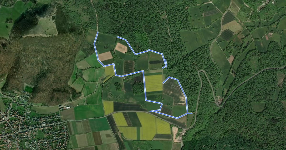 Маршрут Triffelsbühl, Naturparkweg 1 на спутниковом снимке