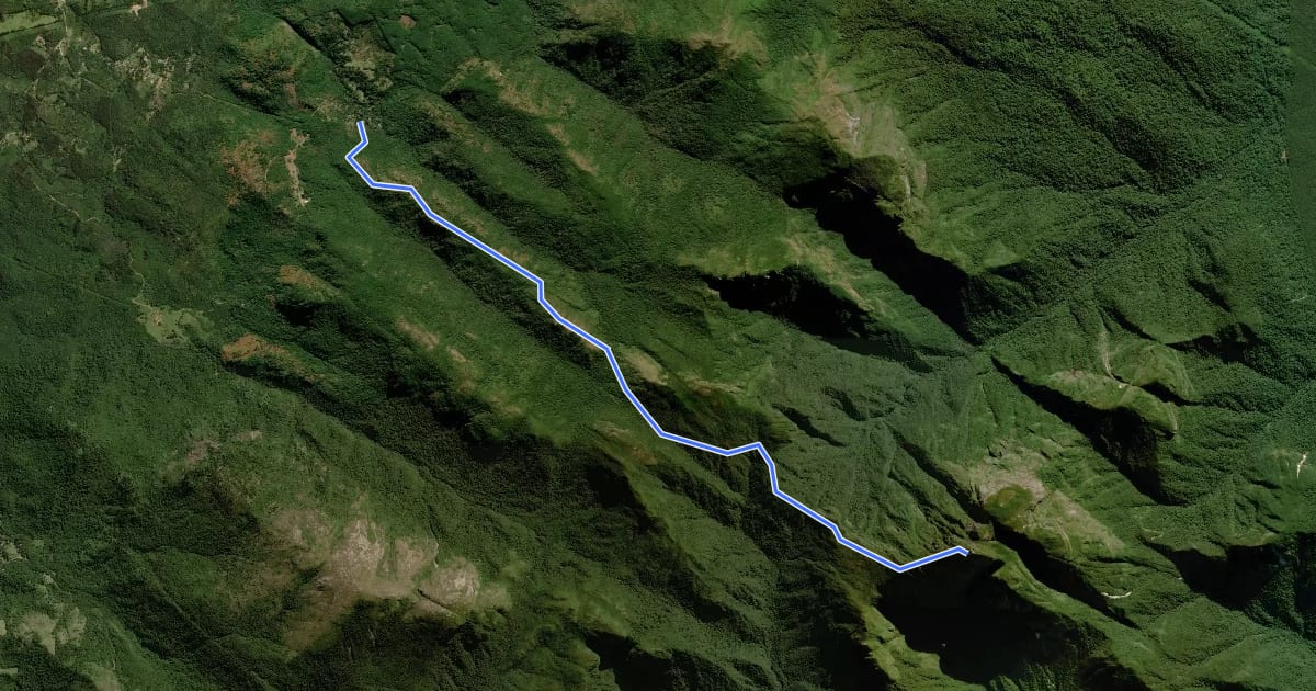 Маршрут Trilha do Pico Paraná на спутниковом снимке