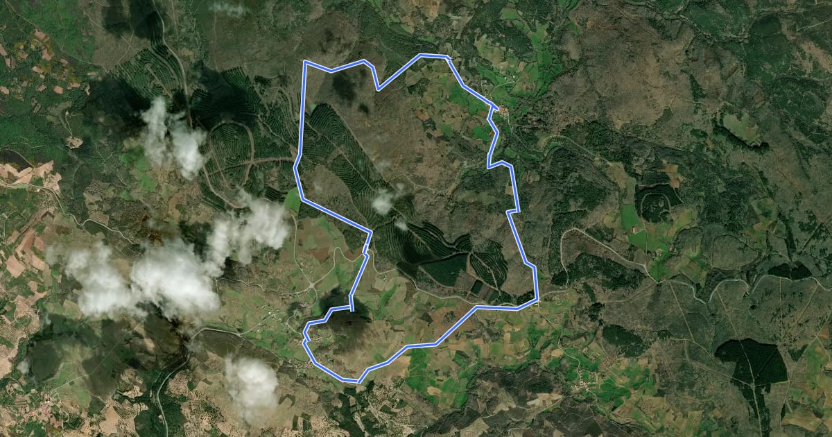 Маршрут Trilho da Floresta e Biodiversidade на спутниковом снимке